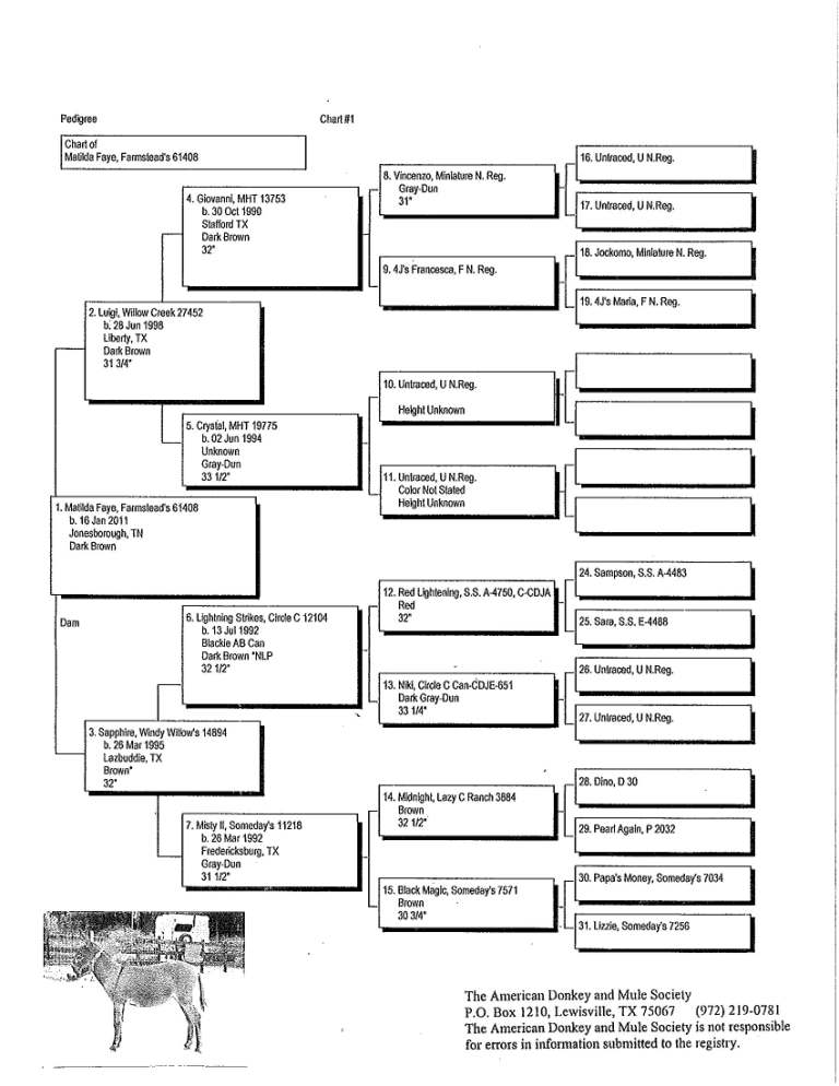 Tillie's Pedigree