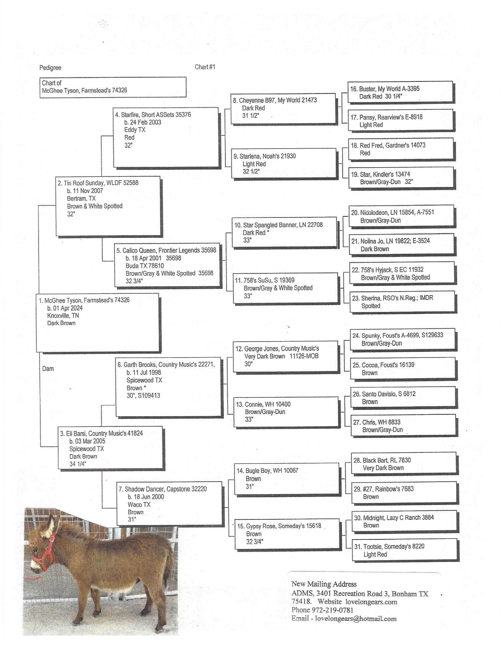 Mcghee Tyson's Pedigree