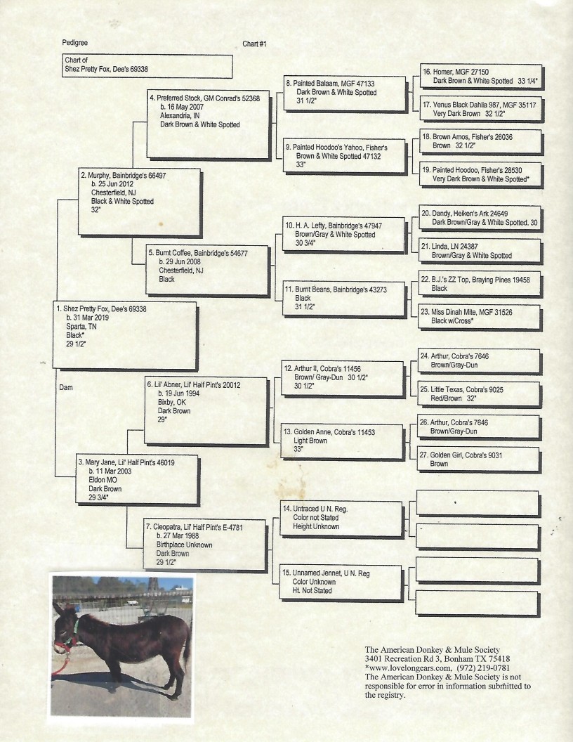 Pretty Foxy's Pedigree