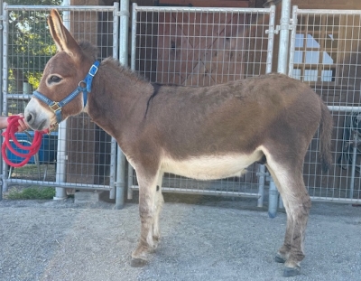 Farmstead's Ray Hicks